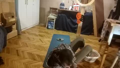 Dominik online show from December 20, 12:56 pm