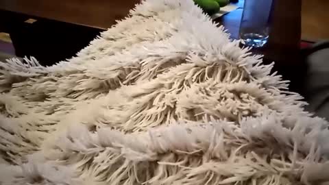 Antn online show from February 9, 6:33 am