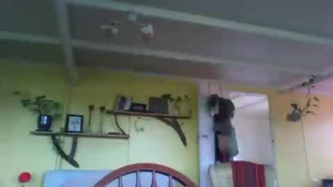 pixiecatfairy online show from April 22, 11:23 pm