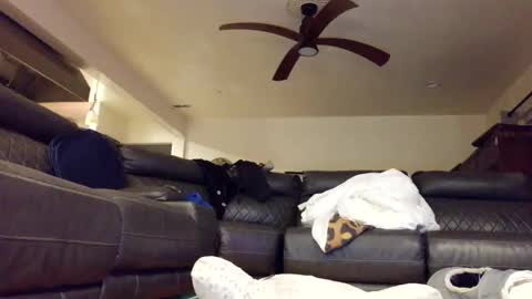 pleasantdinosaurus7537 online show from January 16, 8:12 am