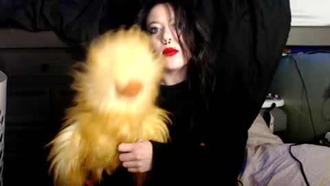 pleasantdinosaurus7537 online show from December 13, 7:53 pm