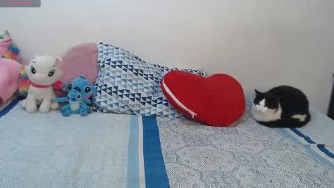 Pocahontas online show from October 29, 4:20 pm