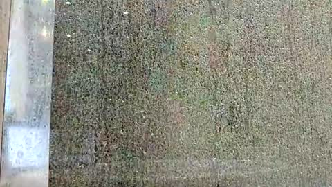 Chill online show from February 24, 10:29 am