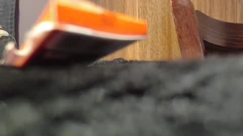 polo6662 online show from April 22, 7:10 pm