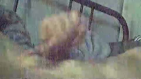 polochar online show from May 12, 2:31 am