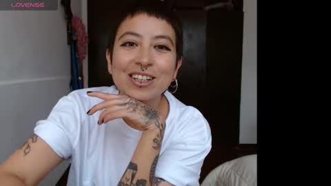 Poly online show from January 29, 4:19 pm