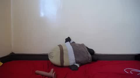 popetykely00 online show from February 18, 8:38 am