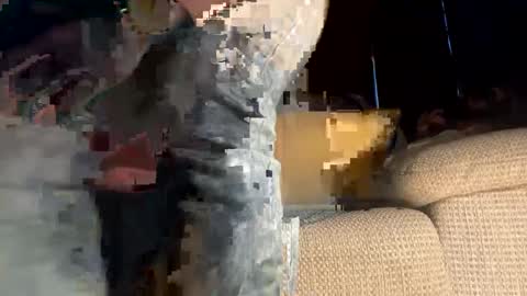 Snapshot of pornstarlegend chatting on January 15, 3:39 pm shane online show from January 15, 3:39 pm