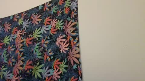 Snapshot of presidentialbryana chatting on January 19, 6:09 am Libra Lamont online show from January 19, 6:09 am