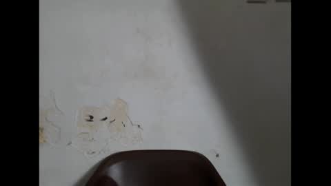 prettysexy6 online show from March 17, 6:40 am