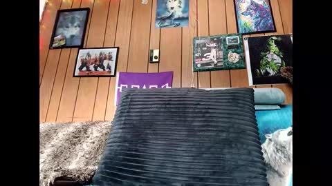 prettysolid7 online show from February 20, 1:57 pm