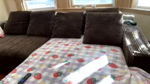 Princess Arii online show from December 5, 7:44 pm