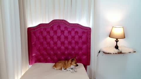 princessyanzy1 online show from March 28, 3:08 am