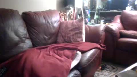 Snapshot of probody chatting on September 14, 2:18 pm MUSCLEGOD online show from September 14, 2:18 pm