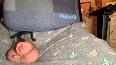 ptigaypoilu online show from November 19, 3:55 pm