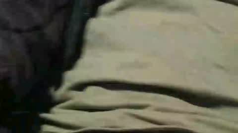 pulepower online show from October 19, 11:37 am