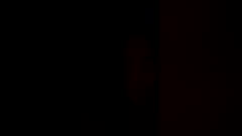 Pup Cup69 online show from December 17, 11:50 am