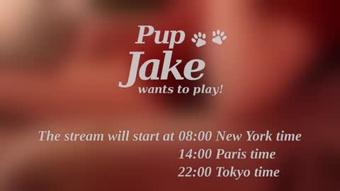 Snapshot of pup_jake chatting on December 25, 12:05 pm Pup Jake wants to play online show from December 25, 12:05 pm