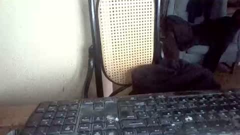 pup_y online show from February 16, 4:38 pm