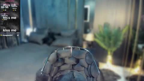 Snapshot of pussydollxx chatting on October 27, 8:42 pm Andreea online show from October 27, 8:42 pm