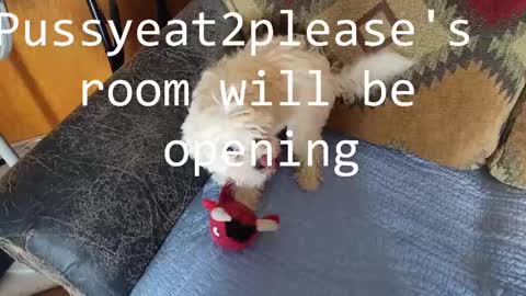 Rick online show from February 16, 8:33 pm