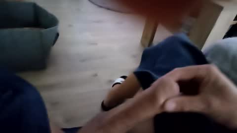 rakloro online show from October 12, 5:55 am