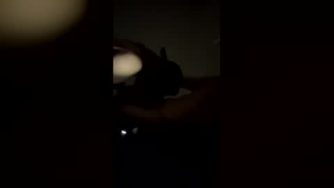 rambolando online show from December 3, 11:11 am