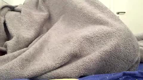 ranj00800 online show from February 15, 2:05 pm