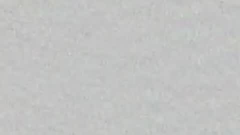 Raven online show from June 8, 3:13 pm