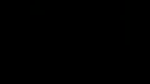 rdt2030 online show from December 29, 9:30 pm