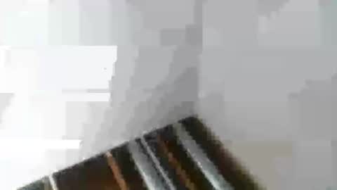 Mr Nice online show from January 6, 2:48 am