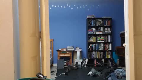 rebelstarlight online show from January 12, 8:43 am