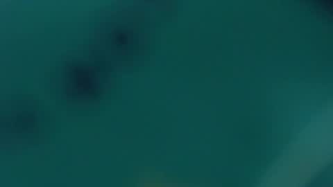 Lupe online show from February 20, 9:55 am