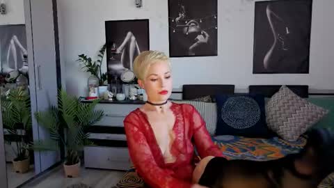 Alex online show from February 14, 12:19 pm