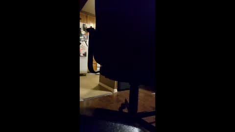 ripchoo online show from February 14, 2:36 am