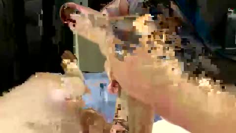 rockinhardd4u online show from November 6, 1:52 am