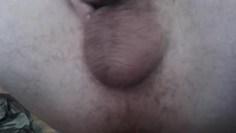 roddog81s online show from October 13, 4:42 pm