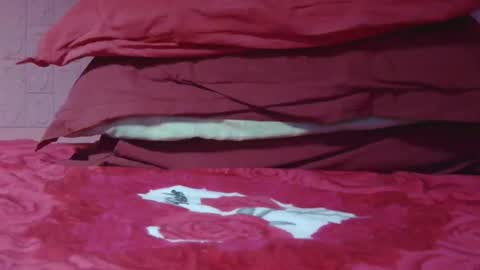Banderas online show from May 26, 12:11 pm