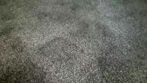 rokard121 online show from March 4, 4:41 pm