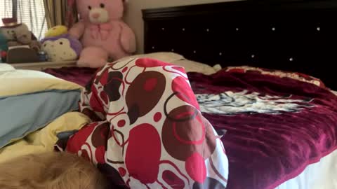 Rose and Jacks Pay Room online show from July 30, 7:14 pm