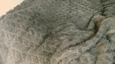 Roseberry online show from April 13, 10:30 am