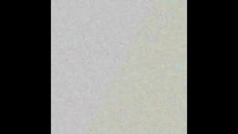 Rose  online show from February 14, 1:23 am