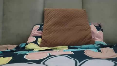 Rossdzires4u online show from January 10, 7:04 am