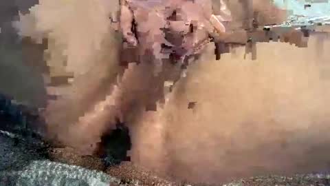 Rip online show from March 28, 11:22 am