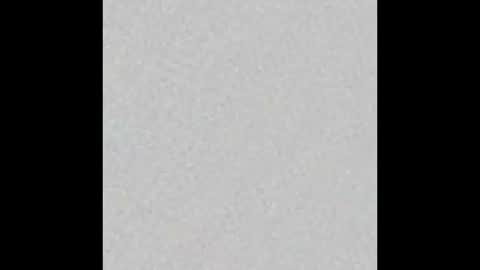 Leslie Beltrn online show from November 9, 2:48 am