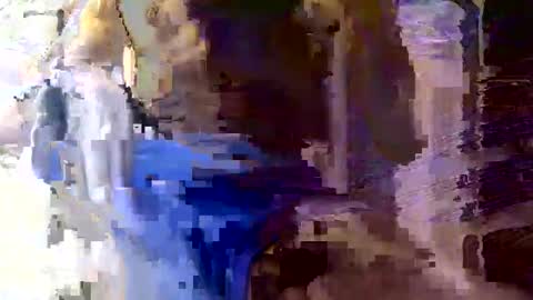 Dee online show from January 14, 12:35 pm