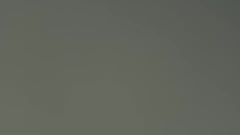 saconuts online show from April 24, 3:47 pm