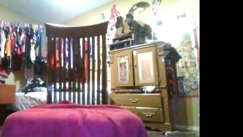 sailormoontrans online show from October 10, 4:07 am