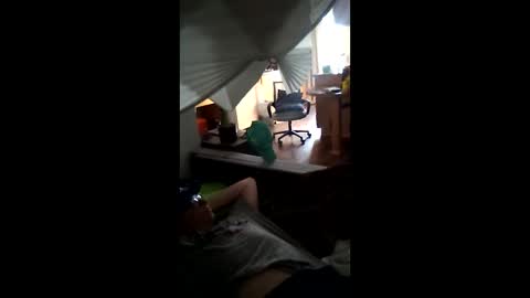 salis1981 online show from March 21, 11:30 pm