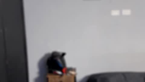 Salvatore online show from February 12, 3:43 am